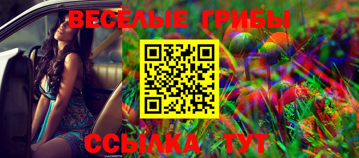 Псилоцибиновые грибы Psilocybine cubensis  Псилоцибиновые грибы мицелий  Вход с VPN  Ртищево 