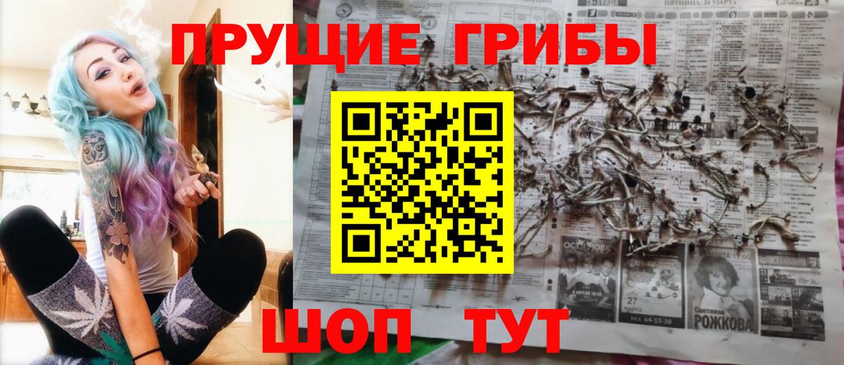 Псилоцибиновые грибы мухоморы Ртищево